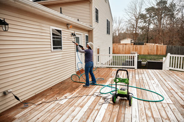 Professional Pressure Washing in Citrus Park, AZ