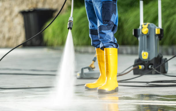 Best Roof Pressure Washing  in Citrus Park, AZ
