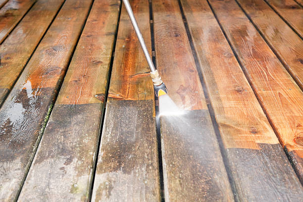 Reliable Citrus Park, AZ Pressure Washing Solutions