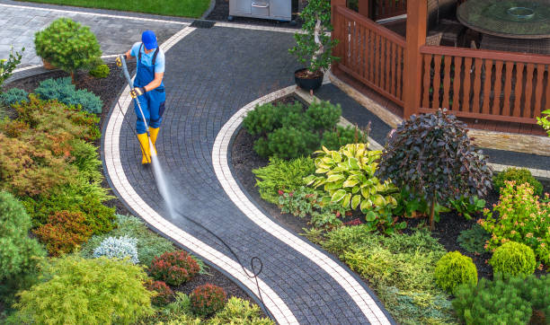 Best Fence Pressure Washing  in Citrus Park, AZ