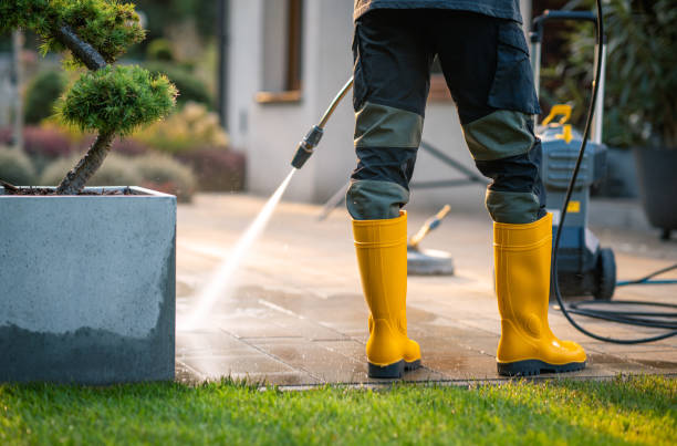 Best House Pressure Washing  in Citrus Park, AZ